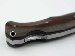 Boxer Wüsteneisenholz