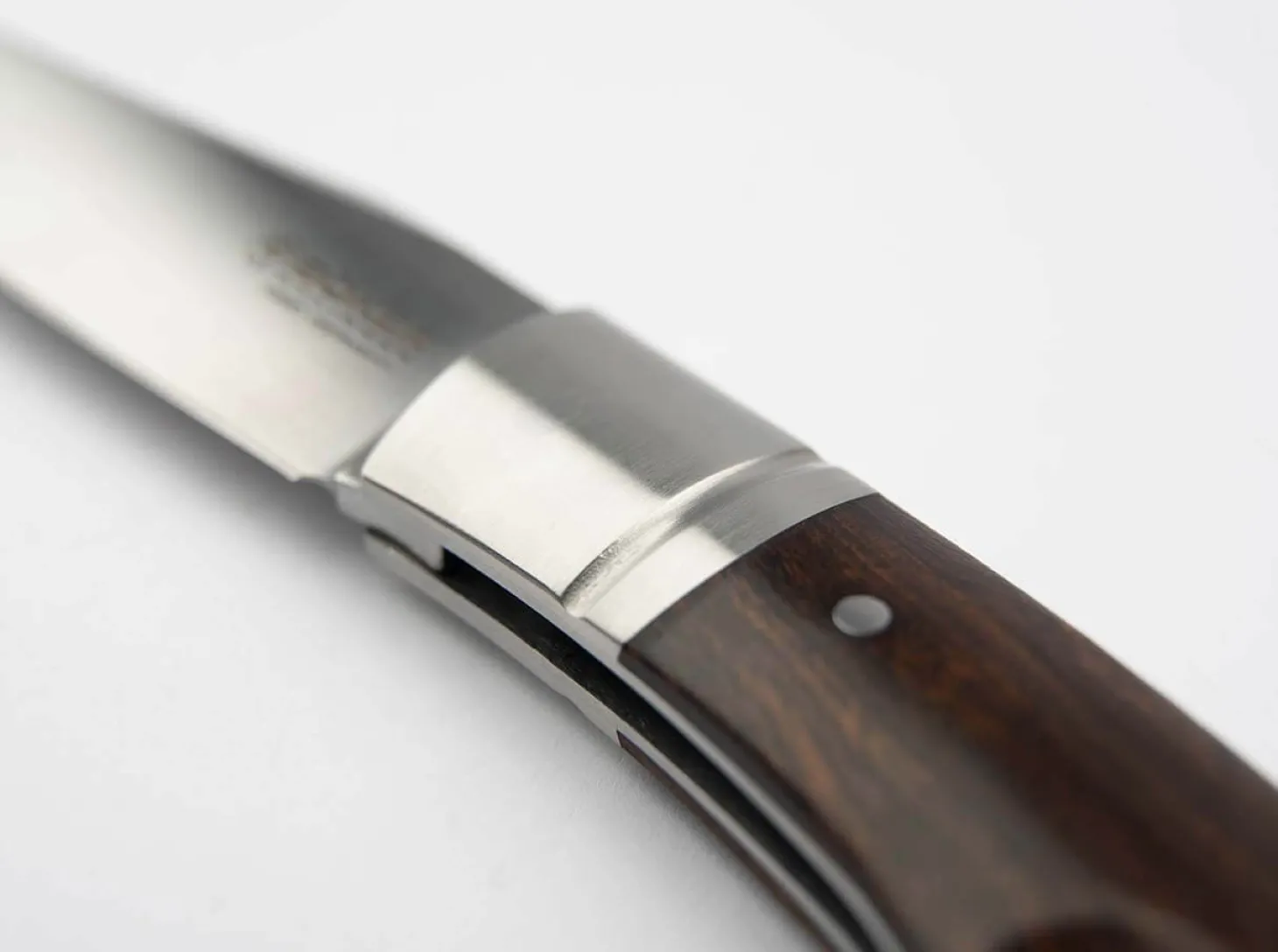 Boxer Wüsteneisenholz