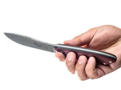 Camp Creek Fire Edition