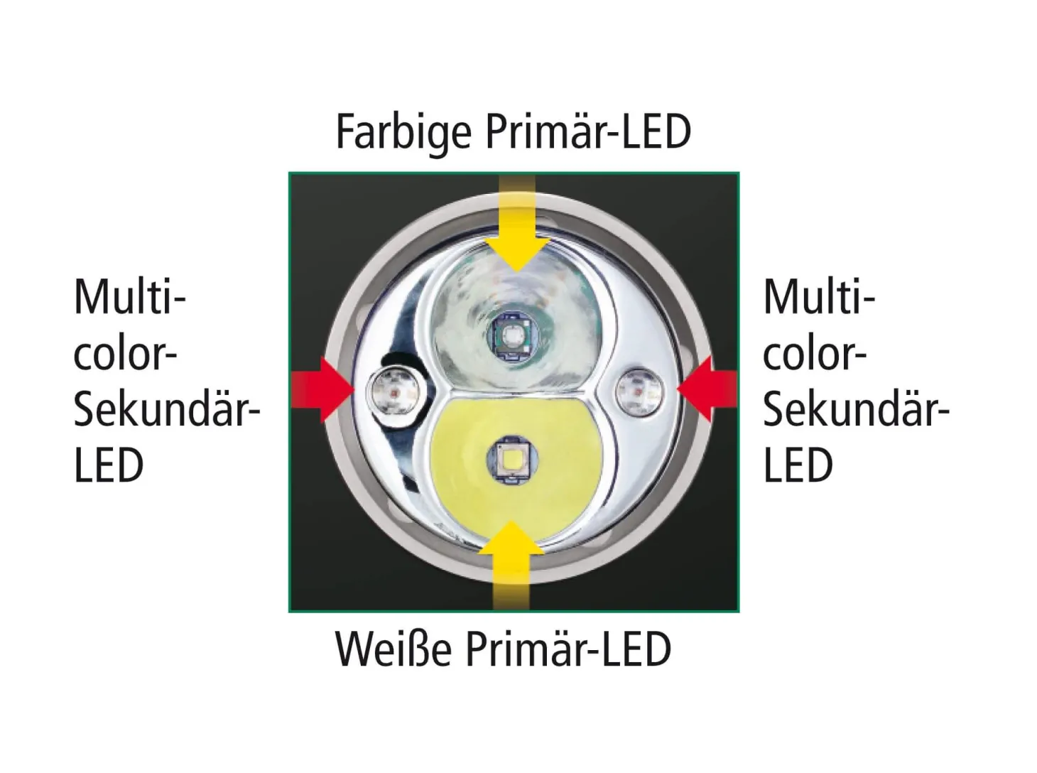 Chameleon Weiß / Infrarot