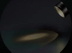 Chameleon Weiß / Infrarot