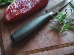 Core Professional Ausbeinmesser