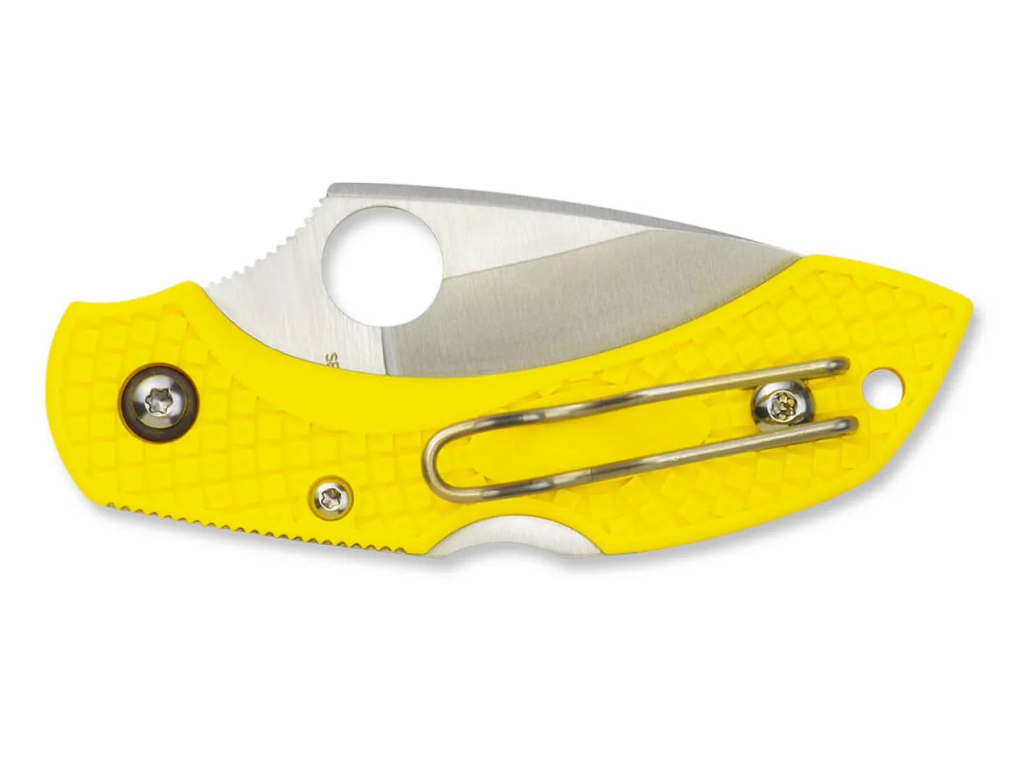 Dragonfly 2 Salt Plain