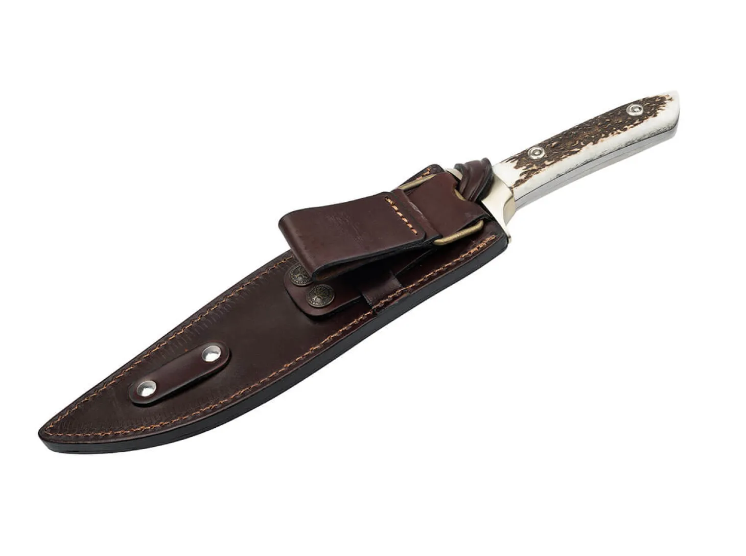 El Gigante 2.0 Hirschhorn