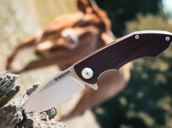 Folder Nahuel Guayacan