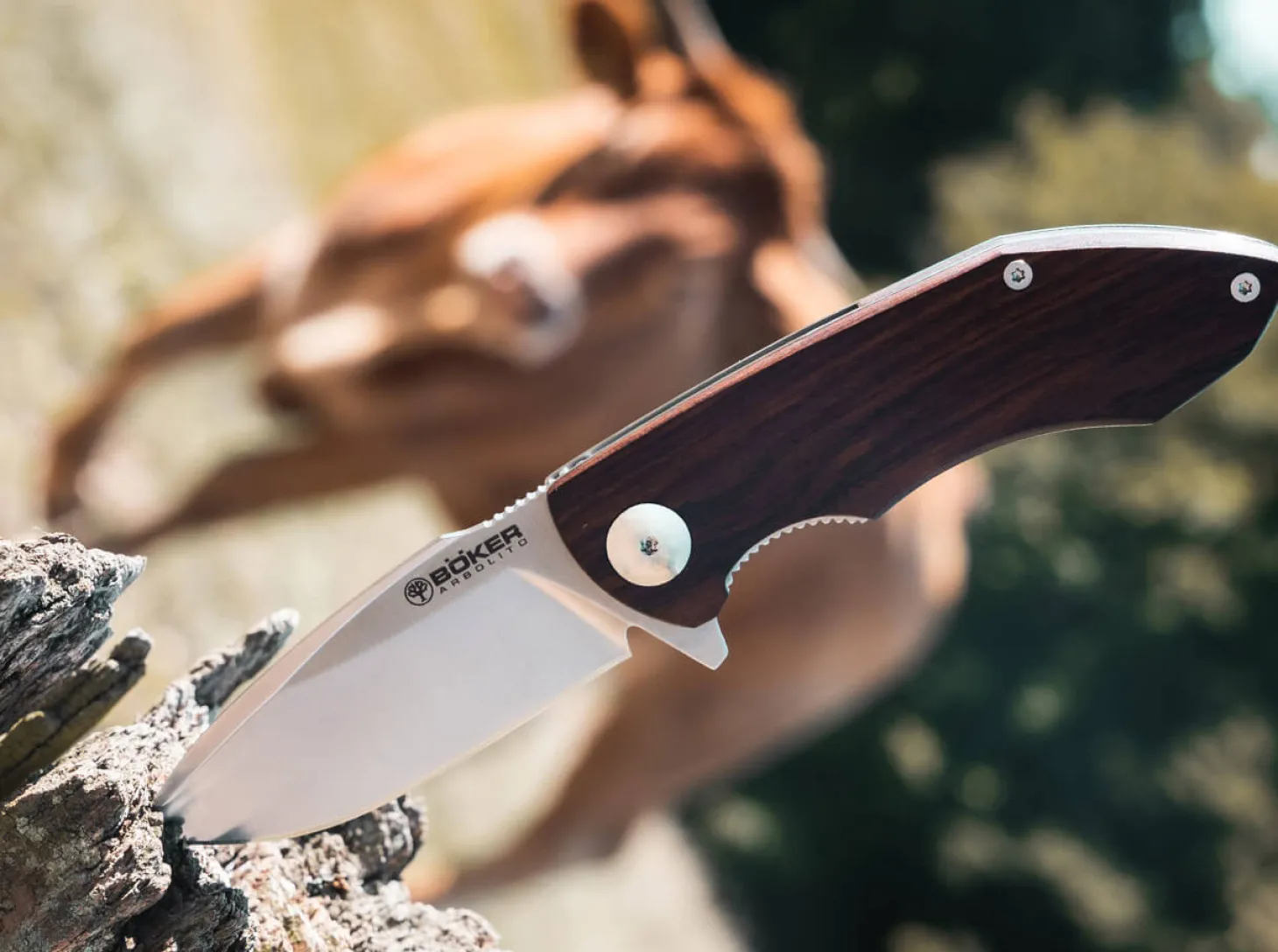 Folder Nahuel Guayacan