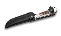 Försternicker Hirschhorn