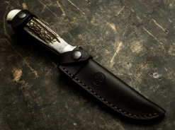 Försternicker Hirschhorn