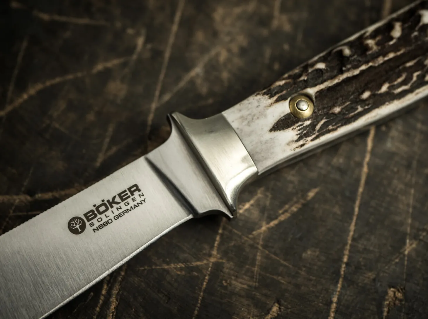 Försternicker Hirschhorn