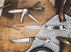 Försternicker Hirschhorn