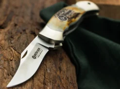 Junior Scout Hirschhorn