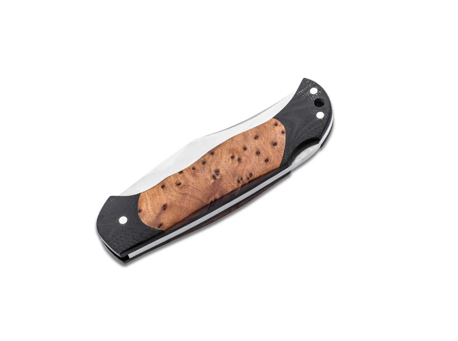 Junior Scout Lightweight Thuja