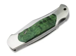 Junior Scout Maserbirke Grün