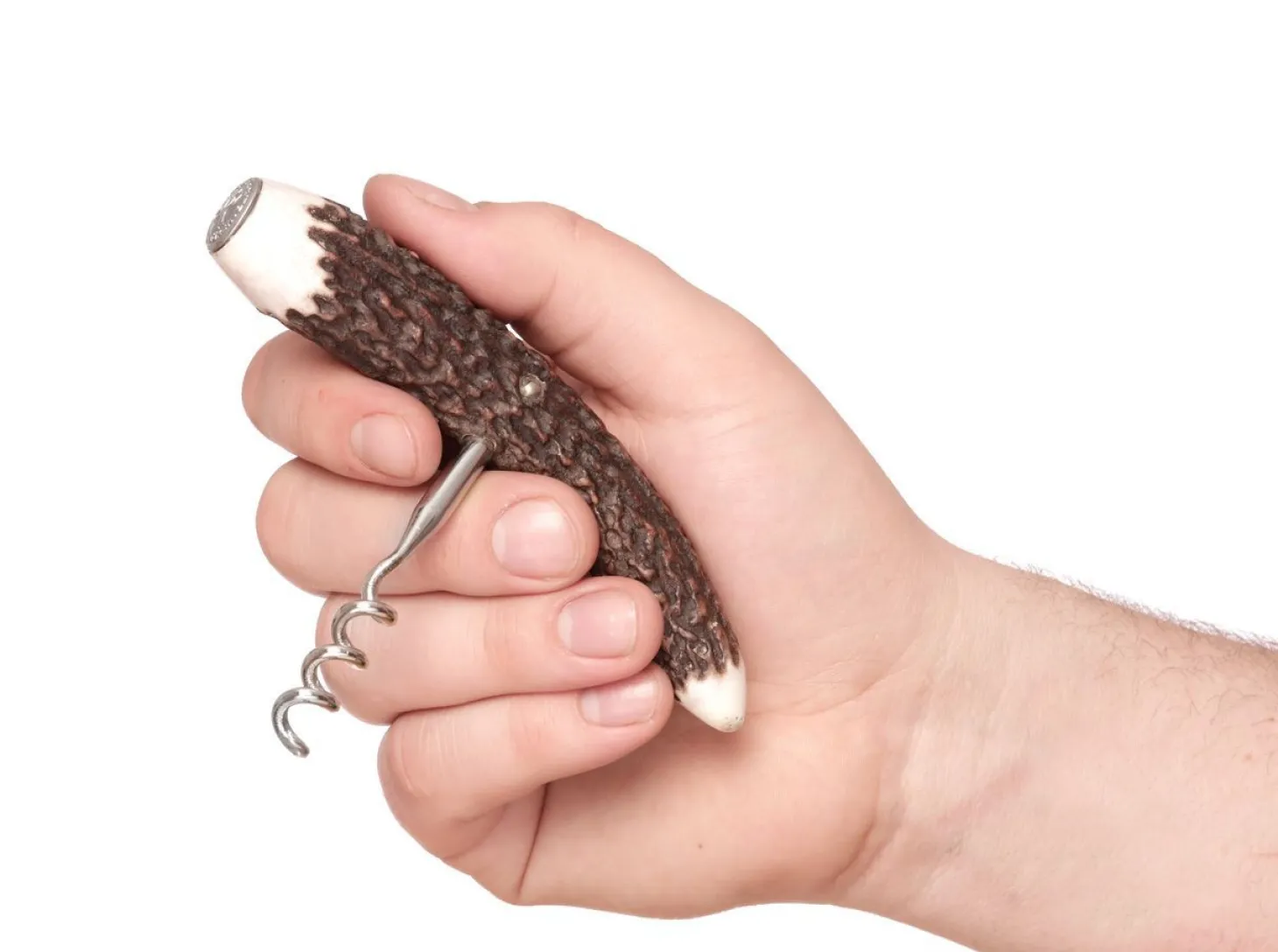 Korkenzieher Hirschhorn