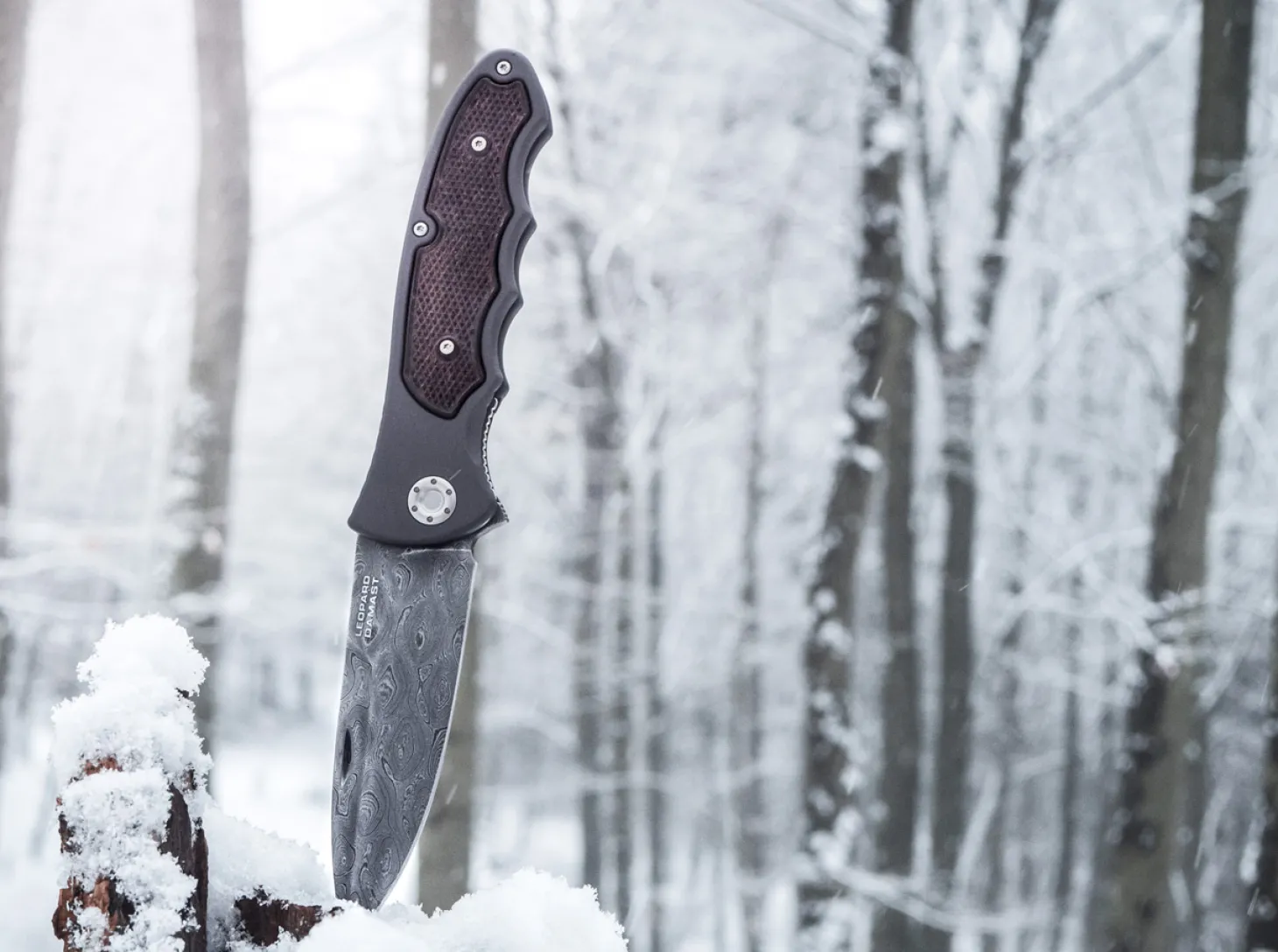 Leopard-Damast III 42