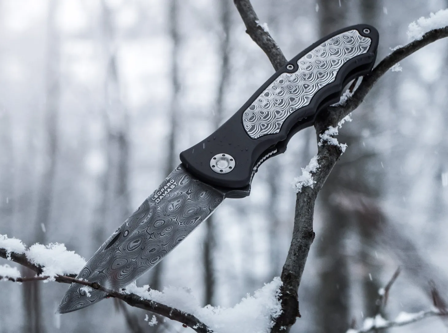 Leopard-Damast III 42 Collection