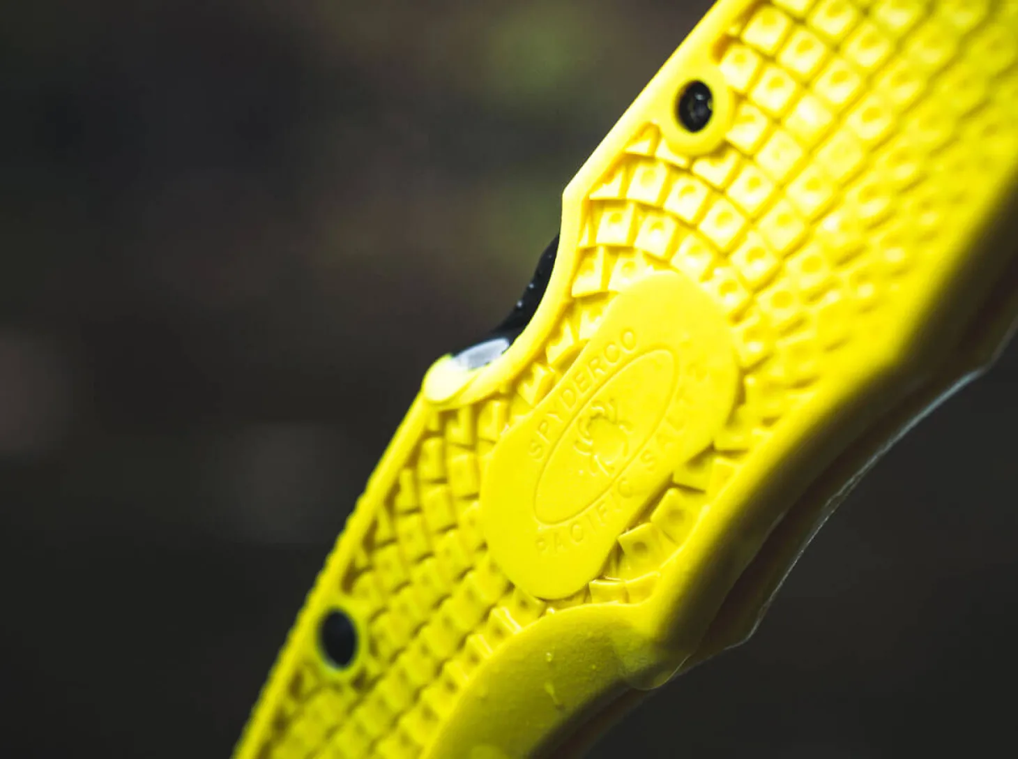 Pacific Salt 2 Yellow