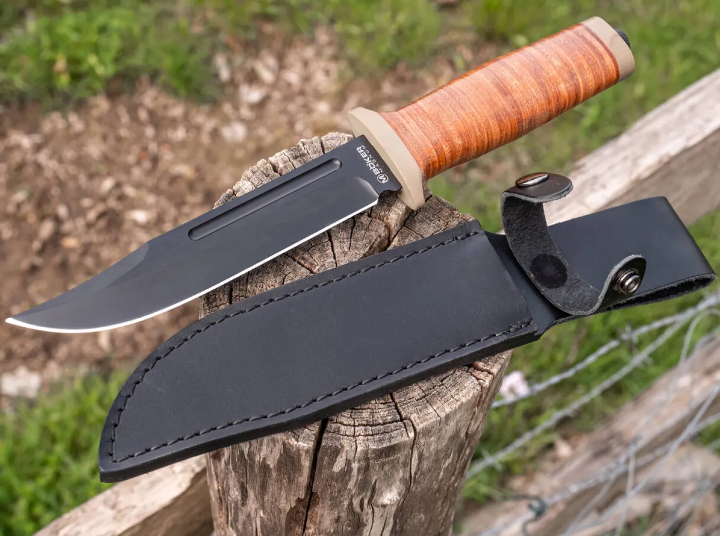 Ranger Field Bowie