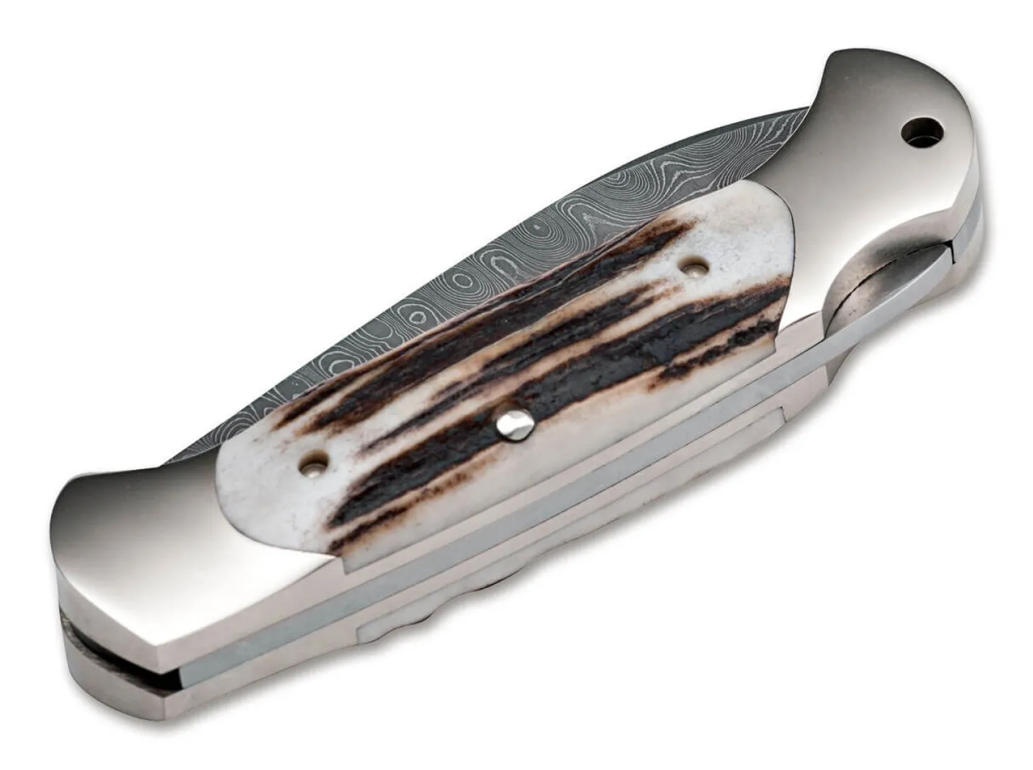 Scout Spearpoint Hirschhorn Damast