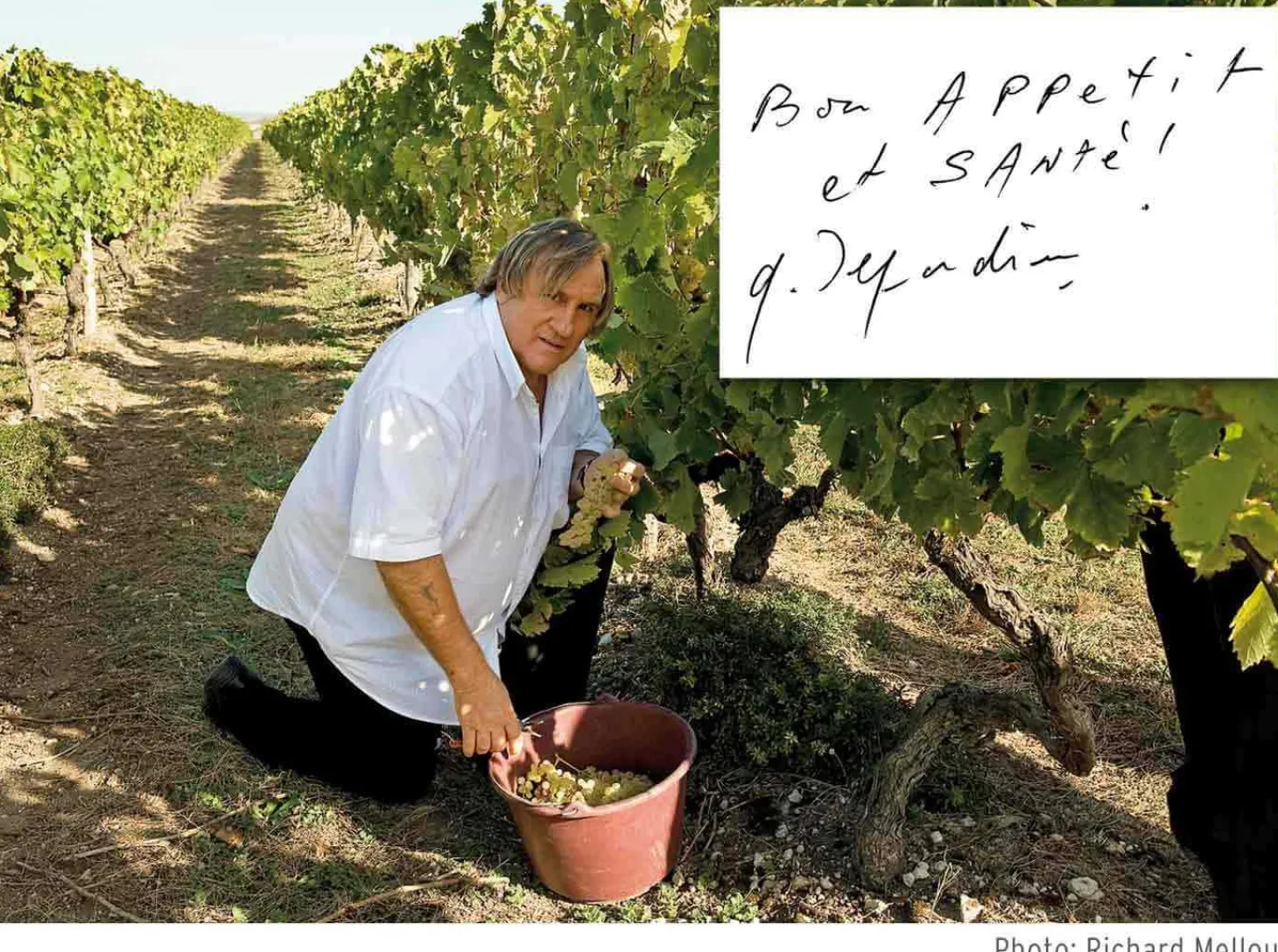 Sommelier Capucin Gérard Depardieu