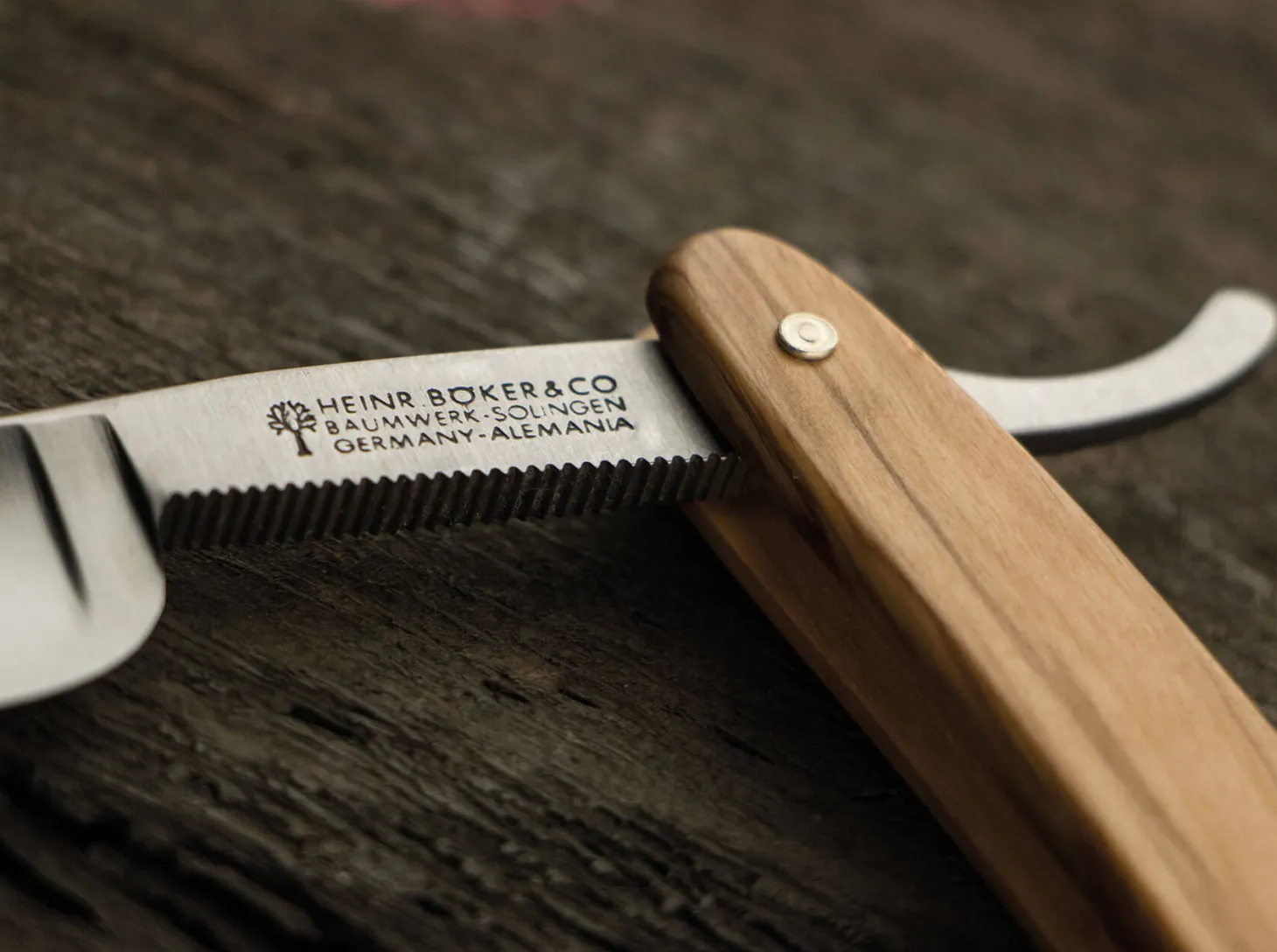 The Celebrated Olive