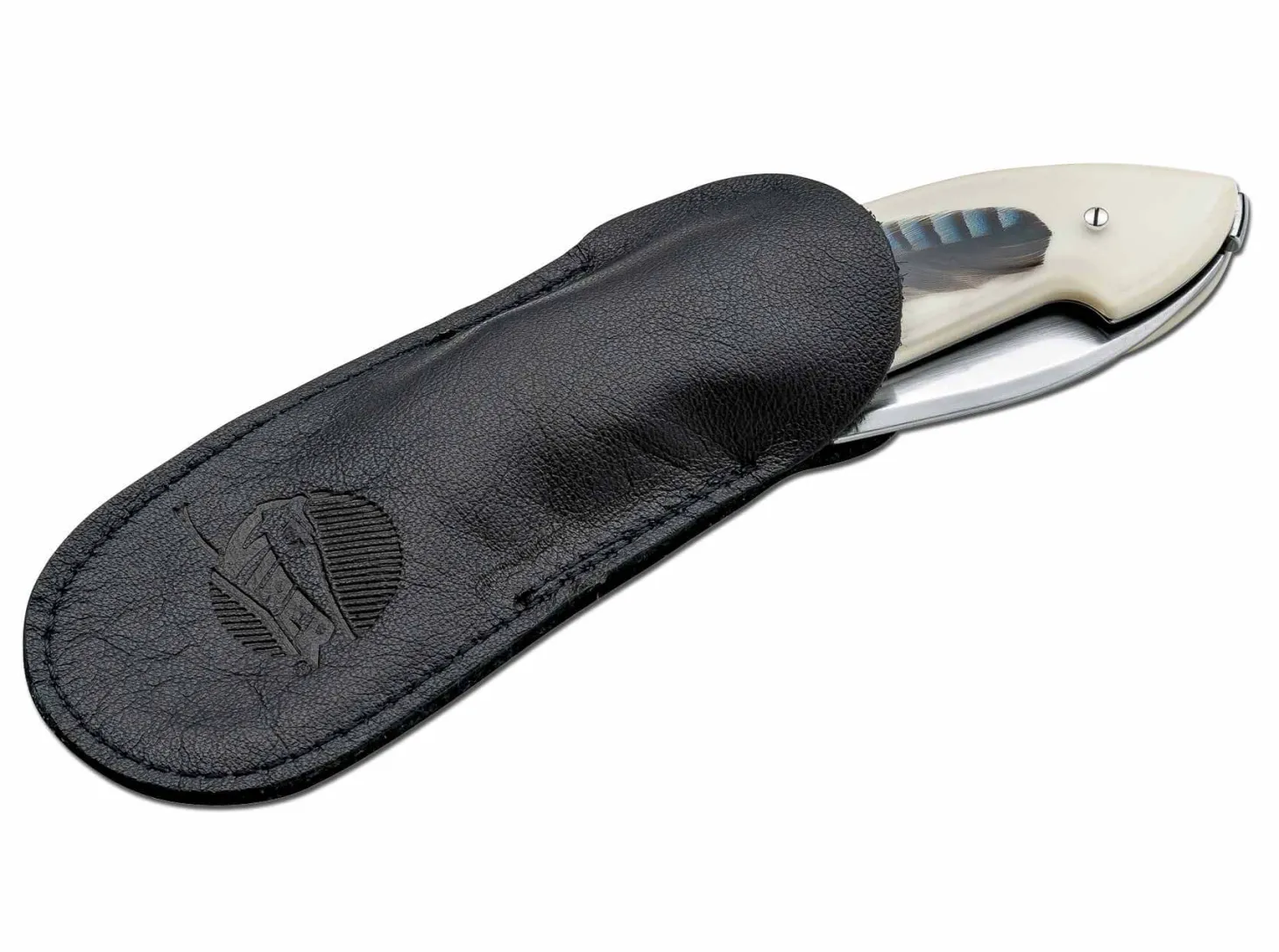 Timeless Piuma Eichelhäher