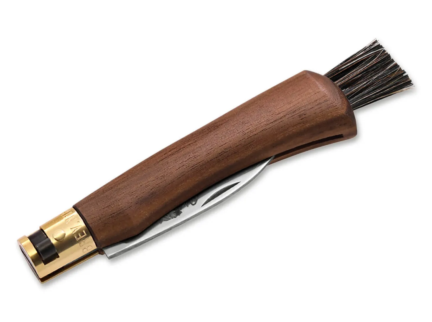 Utility Mushroom Walnuss