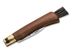 Utility Mushroom Walnuss