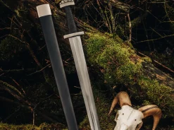 Viking's Sword